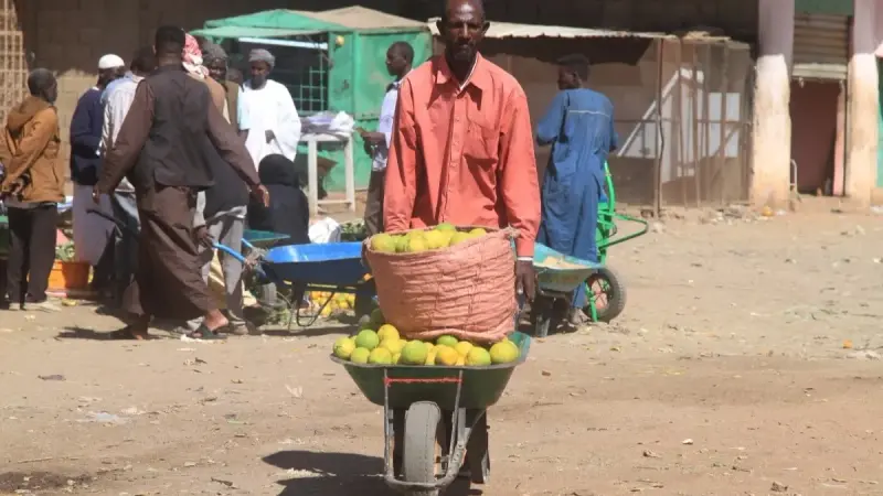 الإمارات تدعو لوقف فوري لإطلاق النار في السودان وتوسيع حظر الأسلحة لضمان حماية المدنيين