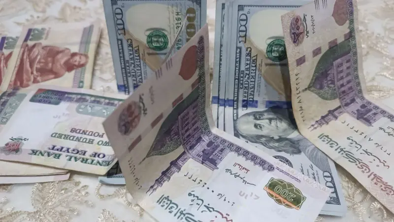 أسعار العملات في مصر اليوم الخميس 12 سبتمبر 2024.. استراحة محارب للجنيه
