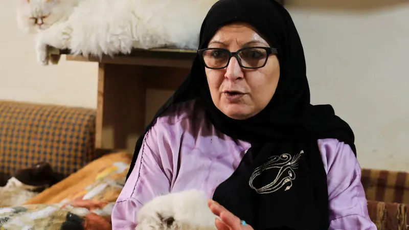 صور - لبنانية ترعى 70 قطة: يا بنعيش سوا يا بنموت سوا