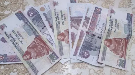 related_news_inside_blogsسعر الدولار مقابل الجنيه المصري اليوم الأحد 31/5/2026.. ترقب لافتتاح البنوك