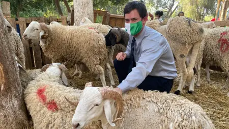 related_news_inside_blogsموعد عيد الأضحى 2026 في الجزائر.. التقديرات الفلكية والتفاصيل الكاملة