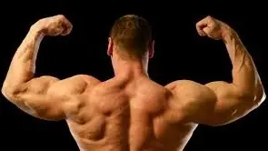 أقوى عضلة في جسم الإنسان.. شائعات خاطئة وحقائق مذهلة