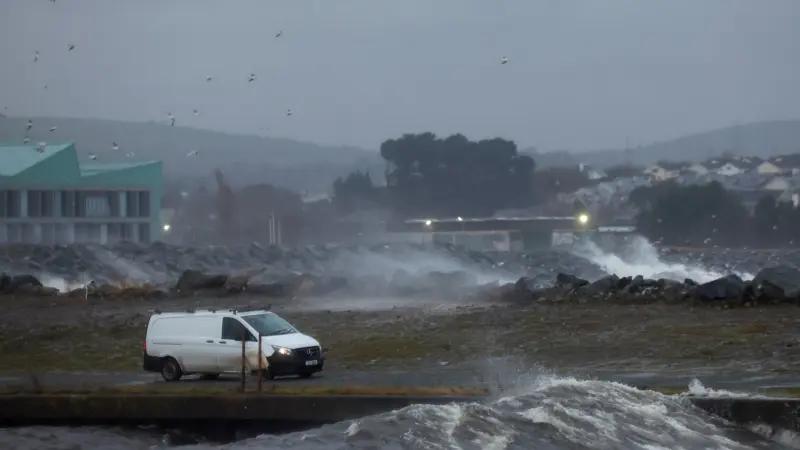 تقرير هام يدعو الشركات لحماية الطبيعة الآن أو مواجهة خطر الانقراض