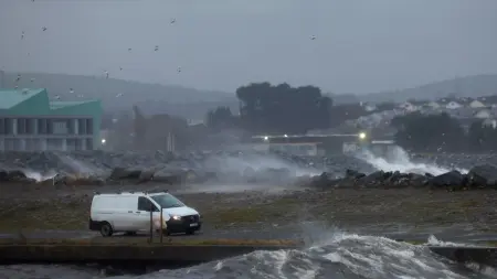 related_news_inside_blogsتقرير هام يدعو الشركات لحماية الطبيعة الآن أو مواجهة خطر الانقراض