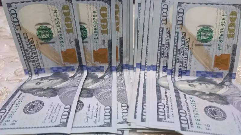 سعر الدولار اليوم في مصر الثلاثاء 13/10/2026.. مكاسب 4%