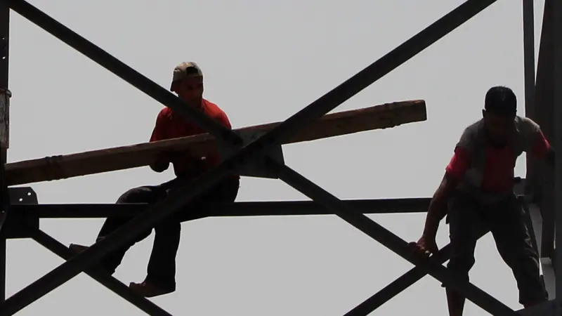 الاستعلام عن الأسماء الجديدة في تكافل وكرامة في مصر 2026.. رابط الخدمة الرسمي