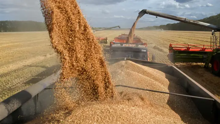 تونس تعزز واردات القمح بـ125 ألف طن