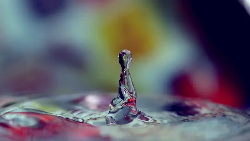 تقرير أممي: تدهور نوعية المياه العذبة يهدد نصف سكان العالم