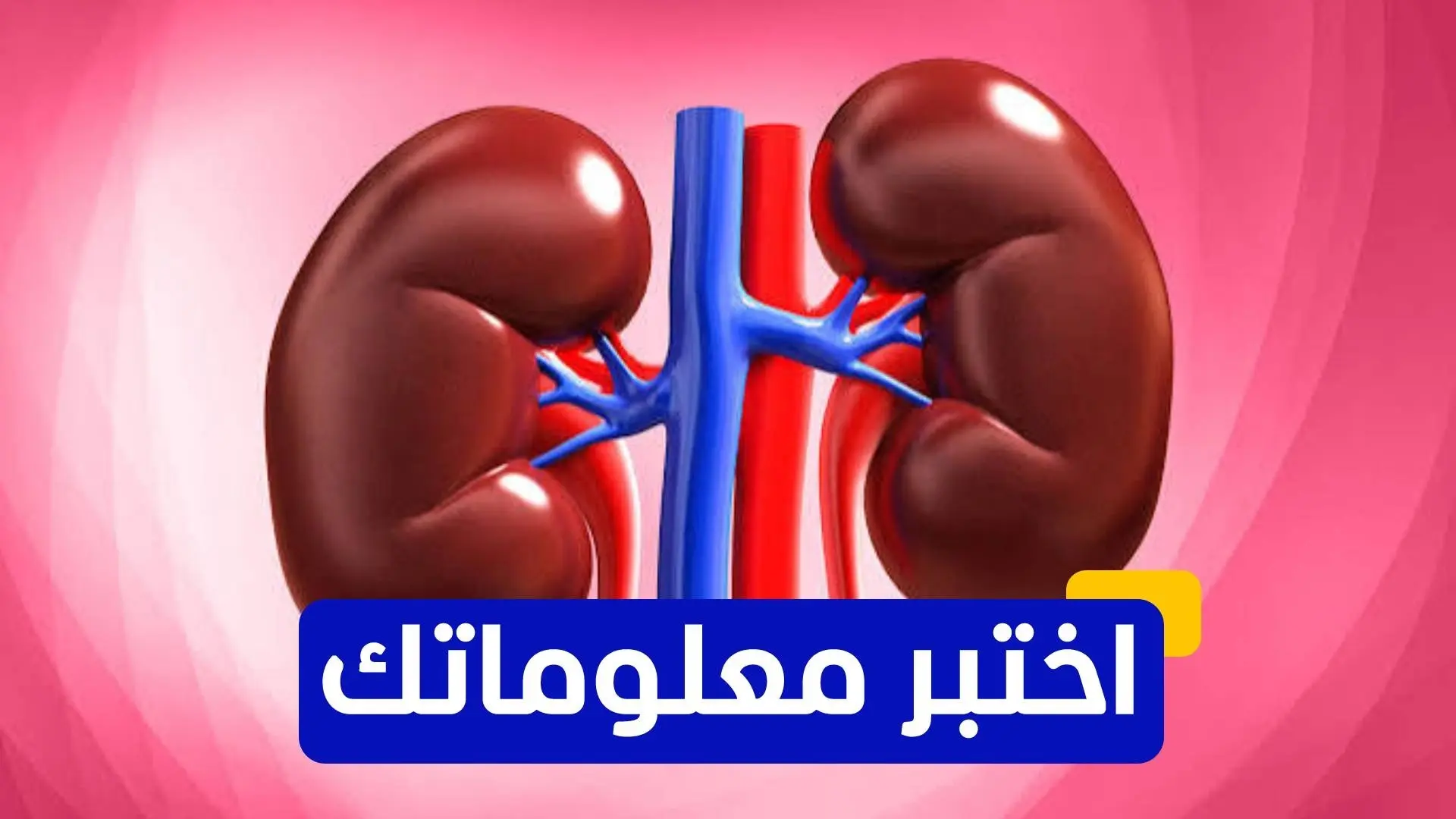 دواء واعد لمواجهة رفض الكلى المزروعة دواء واعد لمواجهة رفض الكلى المزروعة