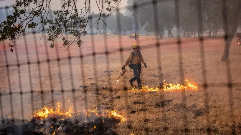 الحرائق تلتهم غابات شمال كاليفورنيا.. وتوقعات بمزيد من موجات الحر