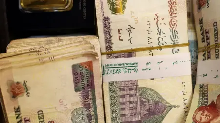 related_news_inside_blogsزيادة المرتبات في مصر.. ما موعدها؟