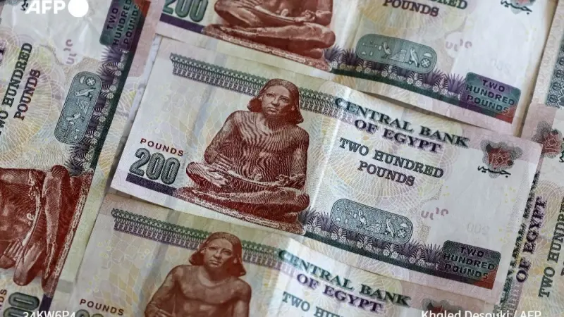 توزيعات أرباح سيدي كرير للبتروكيماويات.. 75 قرشا للسهم