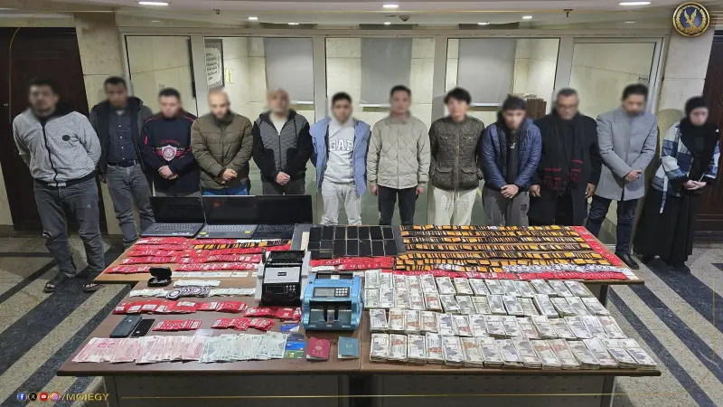 النصب الإلكتروني يهزّ مصر.. كيف تحمي نفسك؟