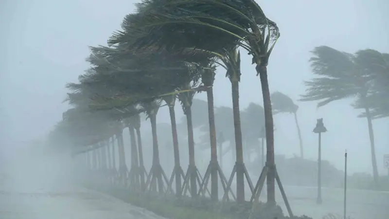 هل ستتكرر عاصفة التنين في مصر؟ الأرصاد الجوية توضح