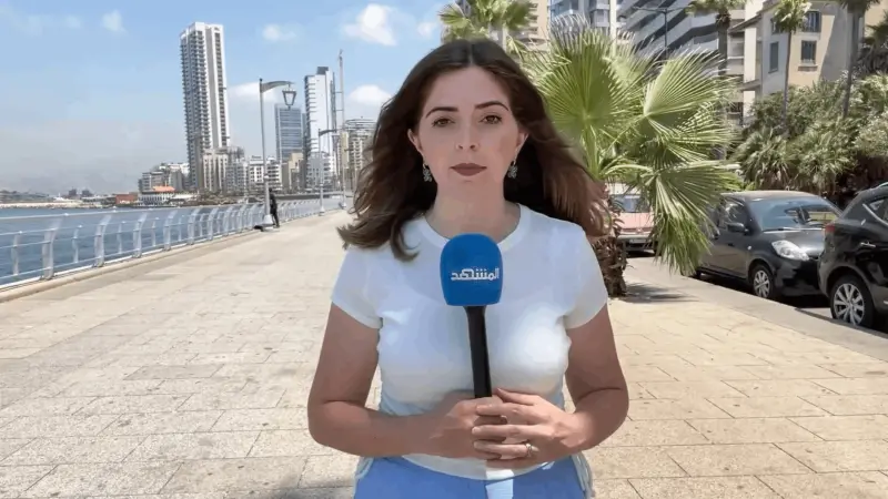 فيديو - الحكومة اللبنانية تطرح خطة واسعة لإعادة النازحين السوريين إلى بلادهم