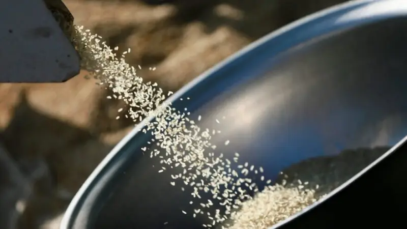 تقرير: نقع الأرز يخفض نسبة السكر في الدم