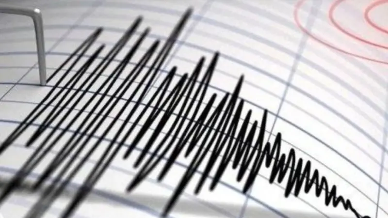 هل حدث زلزال في مصر؟ إليكم الحقيقة