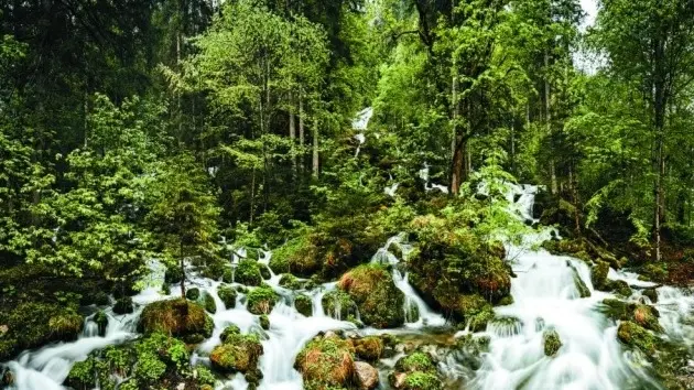 هيئة الأرصاد الجوية النمساوية أعلنت انخفاض كمية الأمطار هيئة الأرصاد الجوية النمساوية أعلنت انخفاض كمية الأمطار