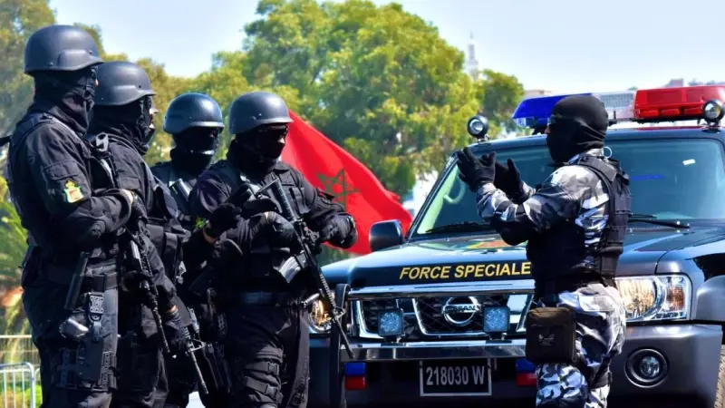 ضربة استباقية.. المغرب يفكّك خلية إرهابية في شمال المملكة