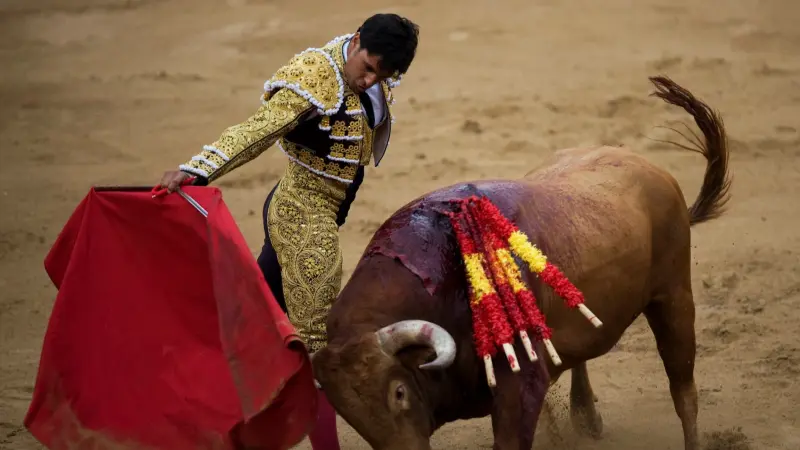 تحول ثقافي.. إسبانيا تلغي الجائزة الوطنية لمصارعة الثيران