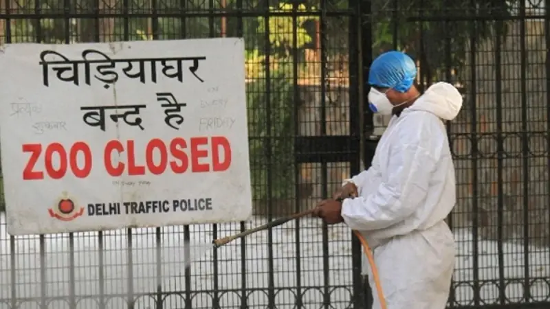 الهند.. إغلاق حديقة حيوان بسبب إنفلونزا الطيور