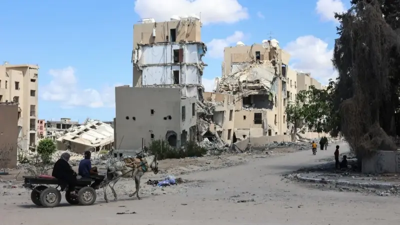 الحمار بطل الحرب.. جراحان عائدان من غزة: الموت في كل شبر