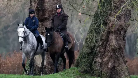 related_news_inside_blogsالأمير أندرو يغادر قصر وندسور بعد فضيحة وثائق إبستين