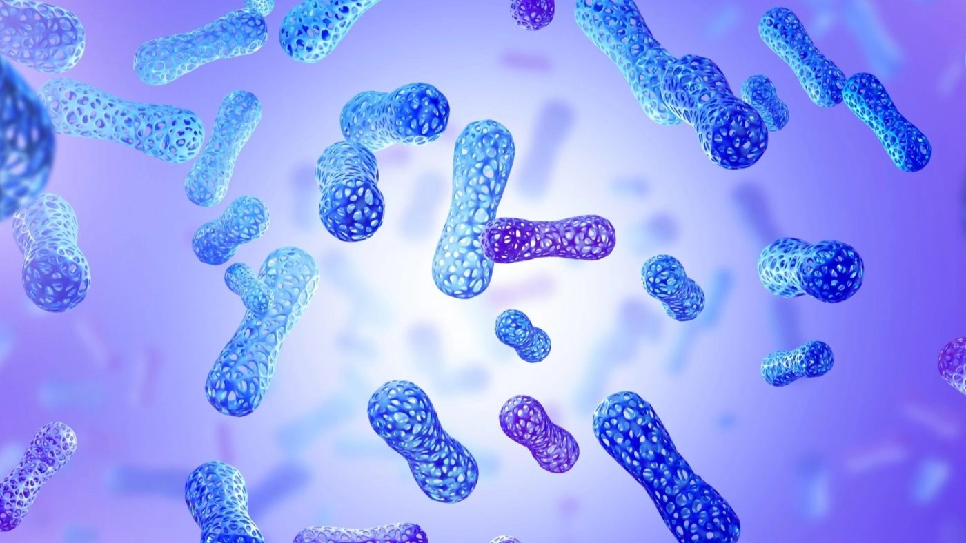 كيف تؤثر ميكروبات الأمعاء على استفادتنا من الغذاء؟ 