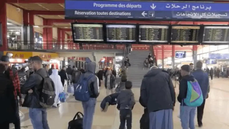 فيديو - إلغاء الحجوزات في الجزائر يكبد شركات السياحة خسائر كبيرة