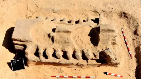 related_news_inside_blogsصور - اكتشاف أثري جديد في محافظة الإسماعيلية بمصر.. إليك تفاصيله