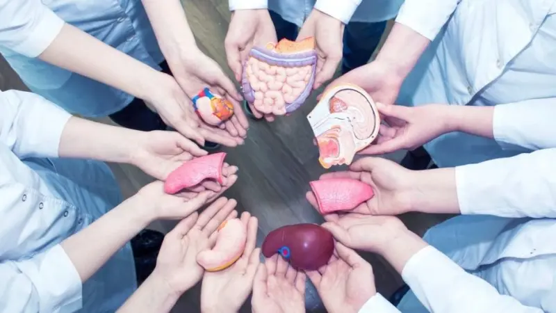 إحداها في دولة عربية.. إليكم أبرز إنجازات زرع الأعضاء لعام 2023