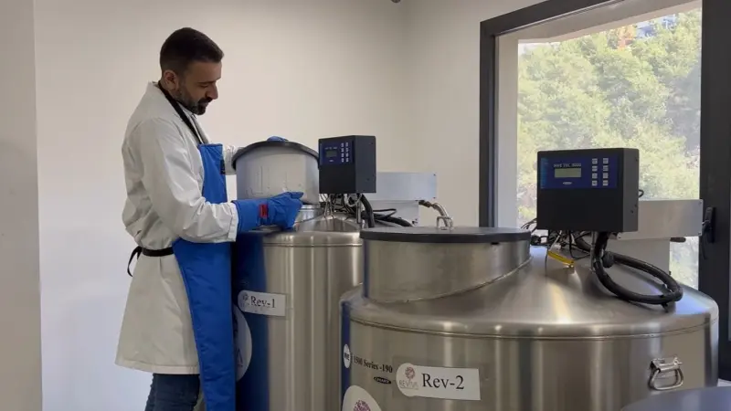 فيديو - خلايا جذعية من الحبل السري.. ثورة طبية تحقّق المعجزات