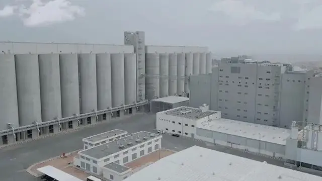 سهم المطاحن الحديثة.. يرتفع قرب 50% في يومين