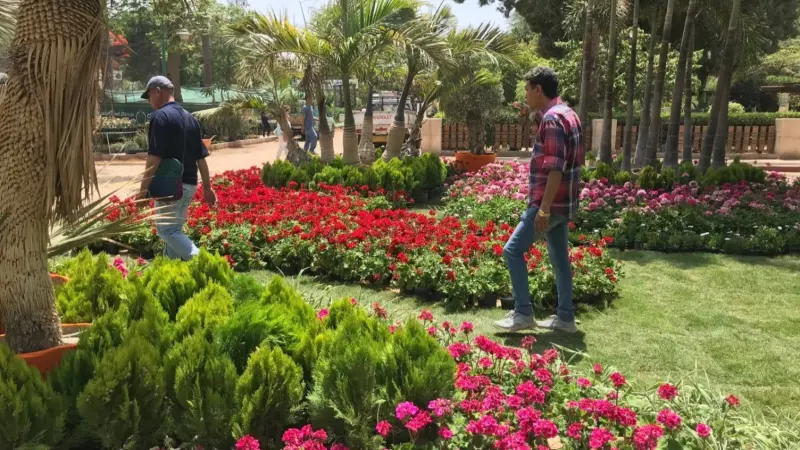 موعد معرض الزهور 2026 وأسعار التذاكر.. استمتع بأجواء الربيع