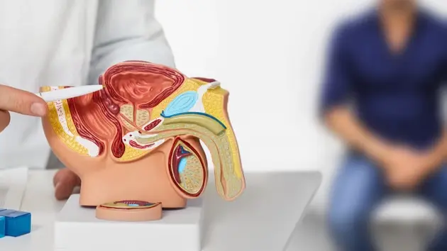 بلاستيك في البروستاتا.. اكتشاف صادم يثير القلق