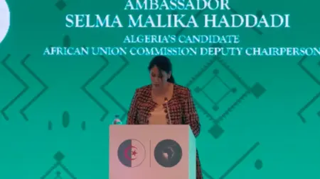 من هي سلمى مليكة نائب رئيس مفوضية الاتحاد الإفريقي؟