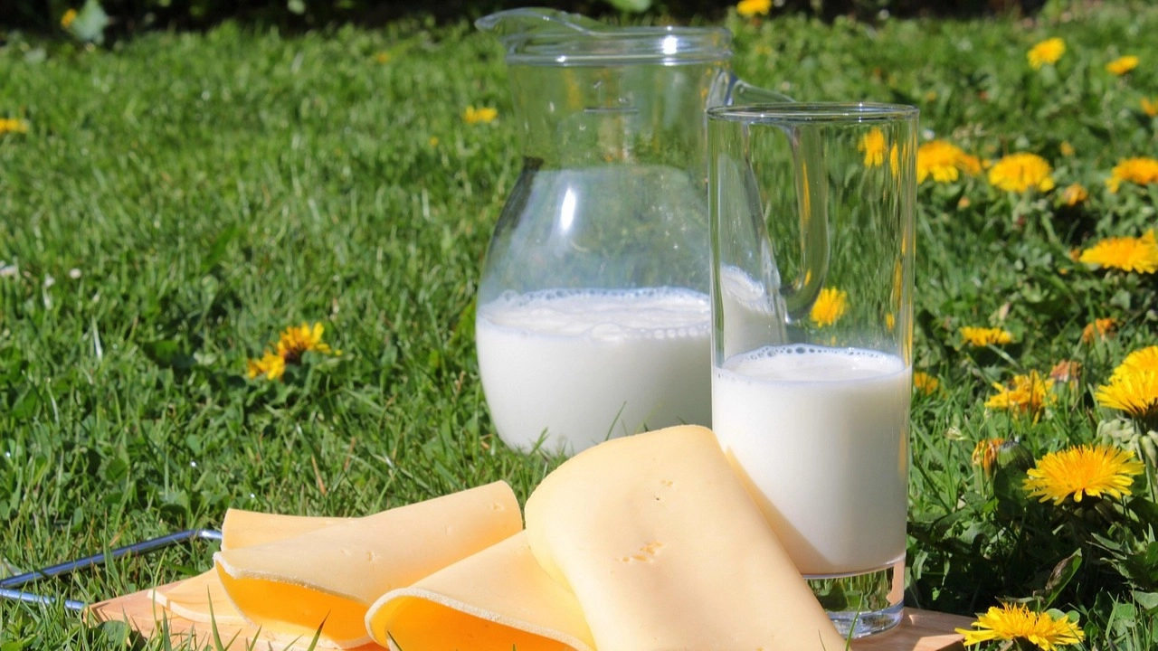 الألبان وصحة الأمعاء.. فوائد محتملة وتأثيرات معقدة 