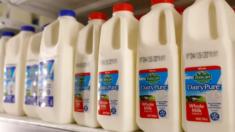 كيف تصل جزيئات البلاستيك إلى غذائك اليومي؟ دراسة تكشف