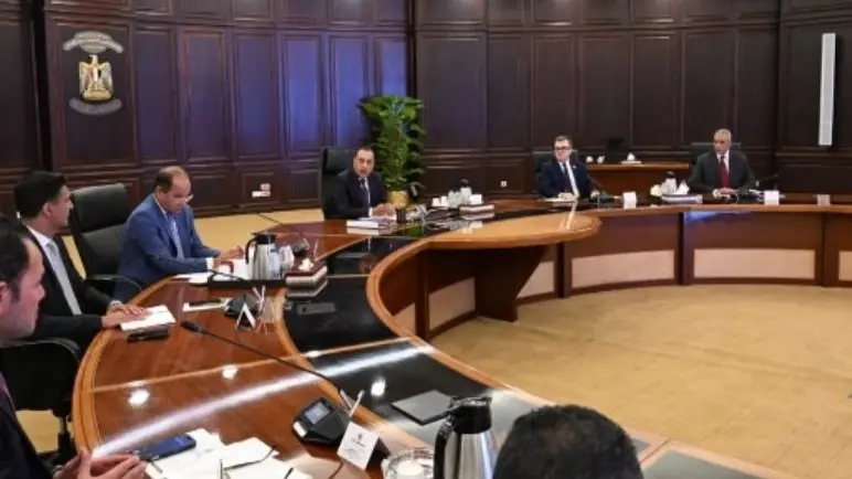 العمل عن بُعد خلال شهر أغسطس في مصر.. هذا ما قرره مجلس الوزراء