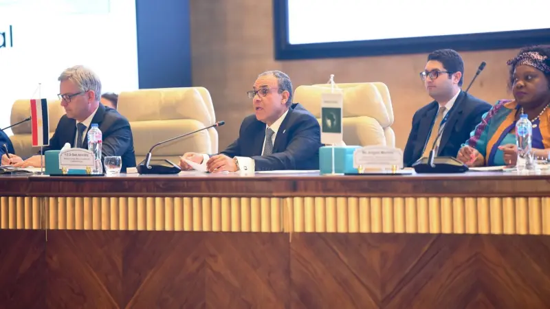 مصر تدعو لرؤية متكاملة في معالجة ظاهرة الهجرة