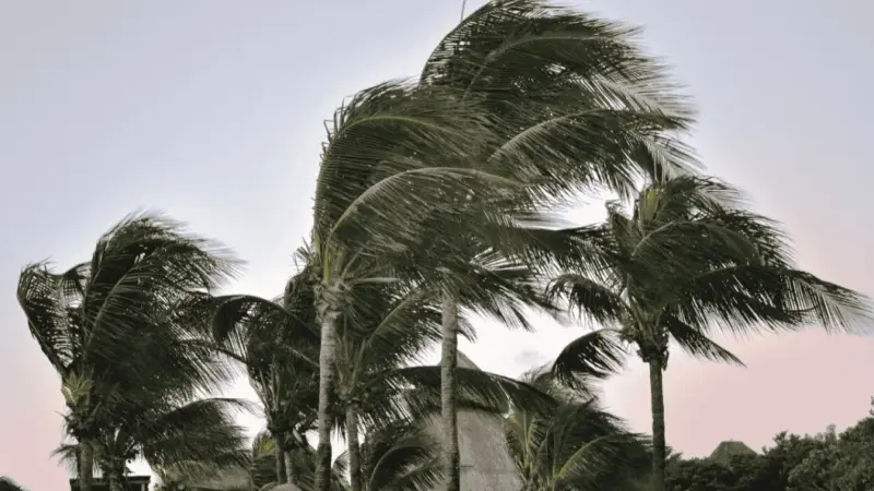 تنبيه بخصوص أحوال الطقس.. سرعة الرياح مستمرة في الجزائر