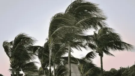 related_news_inside_blogsتنبيه بخصوص أحوال الطقس.. سرعة الرياح مستمرة في الجزائر