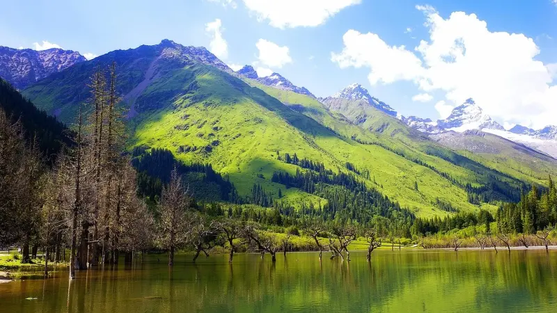 المساحات الخضراء.. دواء يحميك من الخرف والاضطرابات