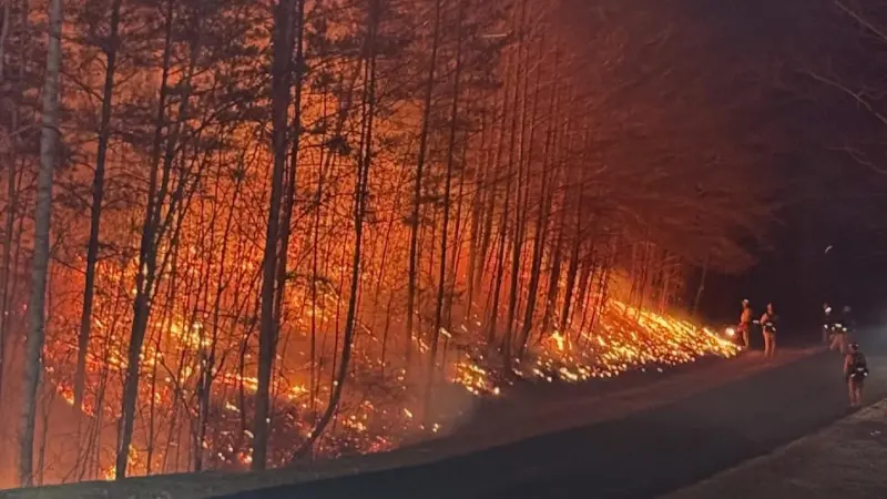 غابات نورث كارولاينا تشتعل وأوامر إخلاء إجبارية للسكان