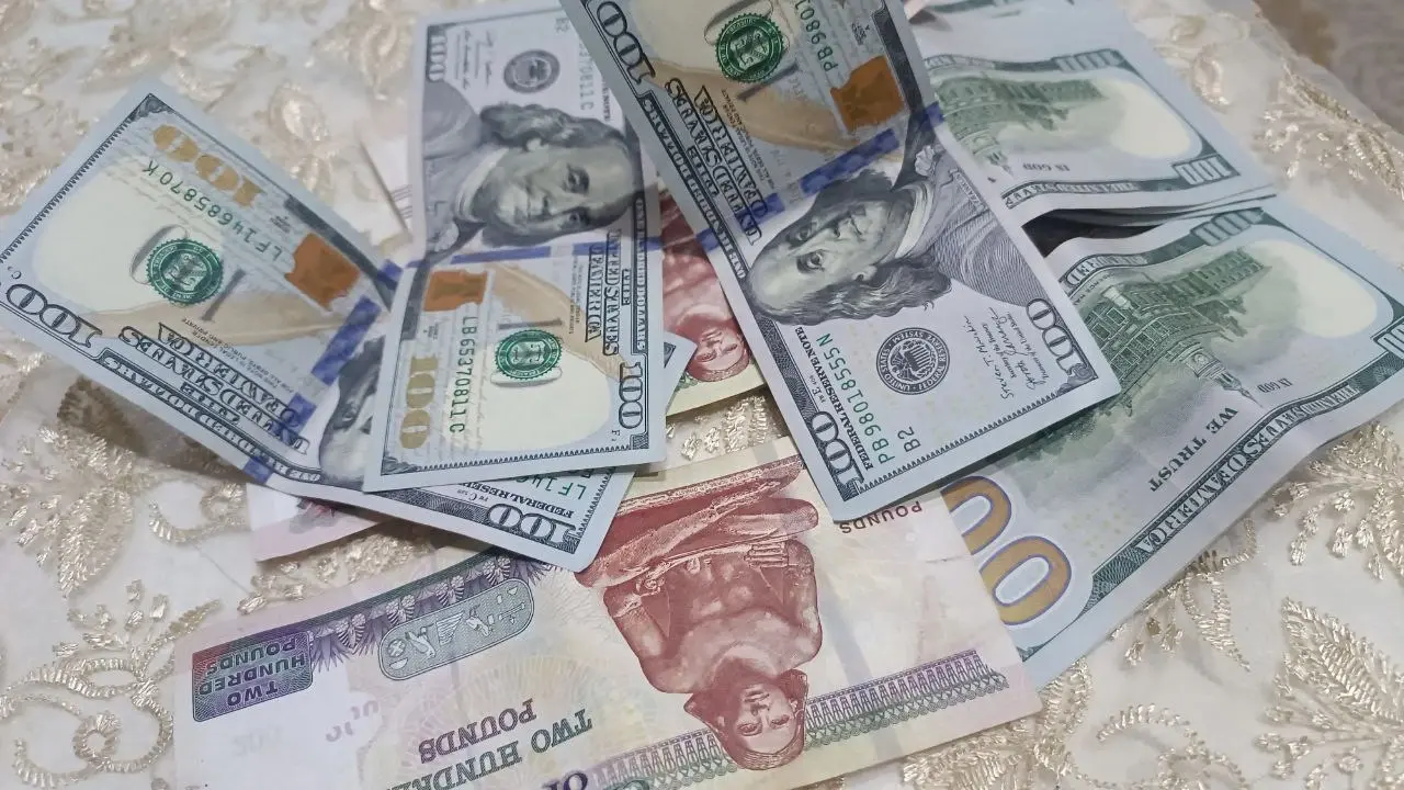 نزيف الجنيه المصري مقابل الدولار الأميركي لا يتوقف وخسائر تقارب 7% نزيف الجنيه المصري مقابل الدولار الأميركي لا يتوقف وخسائر تقارب 7%