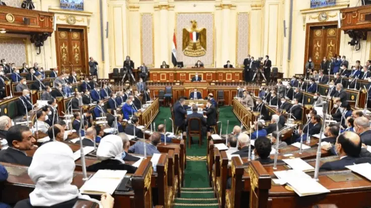 هذا جديد قرار خصخصة المستشفيات الحكومية في مصر