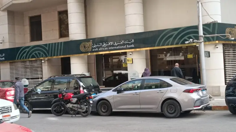 سعر الدولار اليوم مقابل الجنيه المصري الأحد 4/10/2026.. ضغوط على العملة المحلية