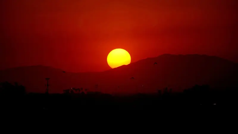 حكومات إفريقية تتطلع لاستغلال كوب 29 لزيادة حصتها في التمويل المناخي