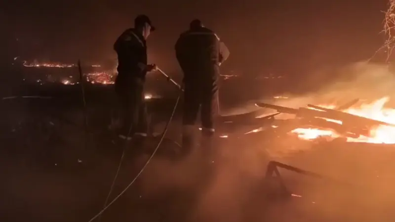 فيديو - إجلاء العشرات بسبب حرائق غابات الجزائر