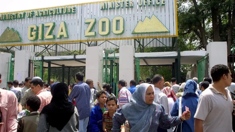 مصر - موعد افتتاح حديقة الحيوان وهذا عن أسعار الدخول بعد التطوير